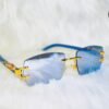 Gafas Elegantes
