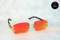 Gafas Elegantes